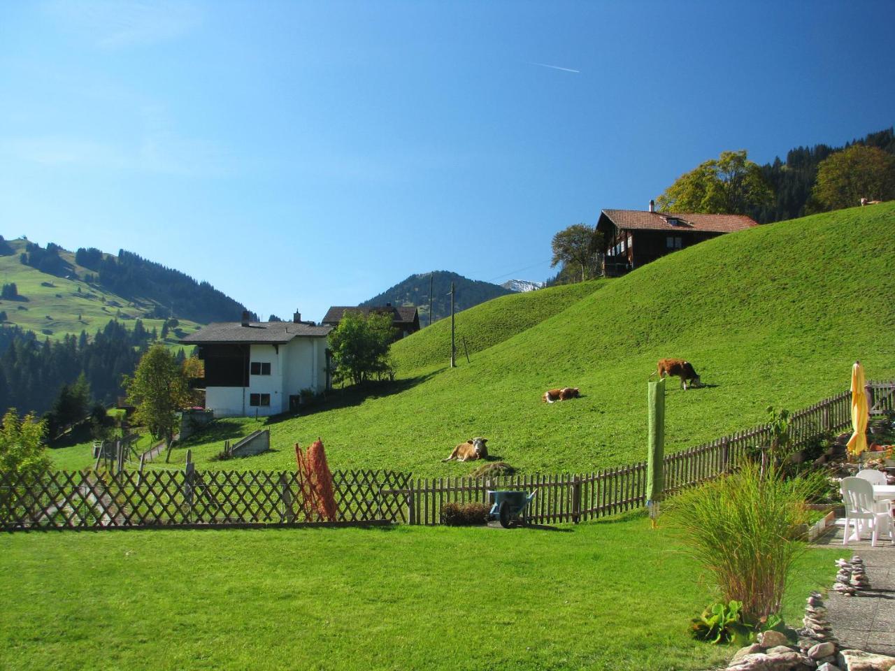 Appartment Andrea Adelboden Exterior foto